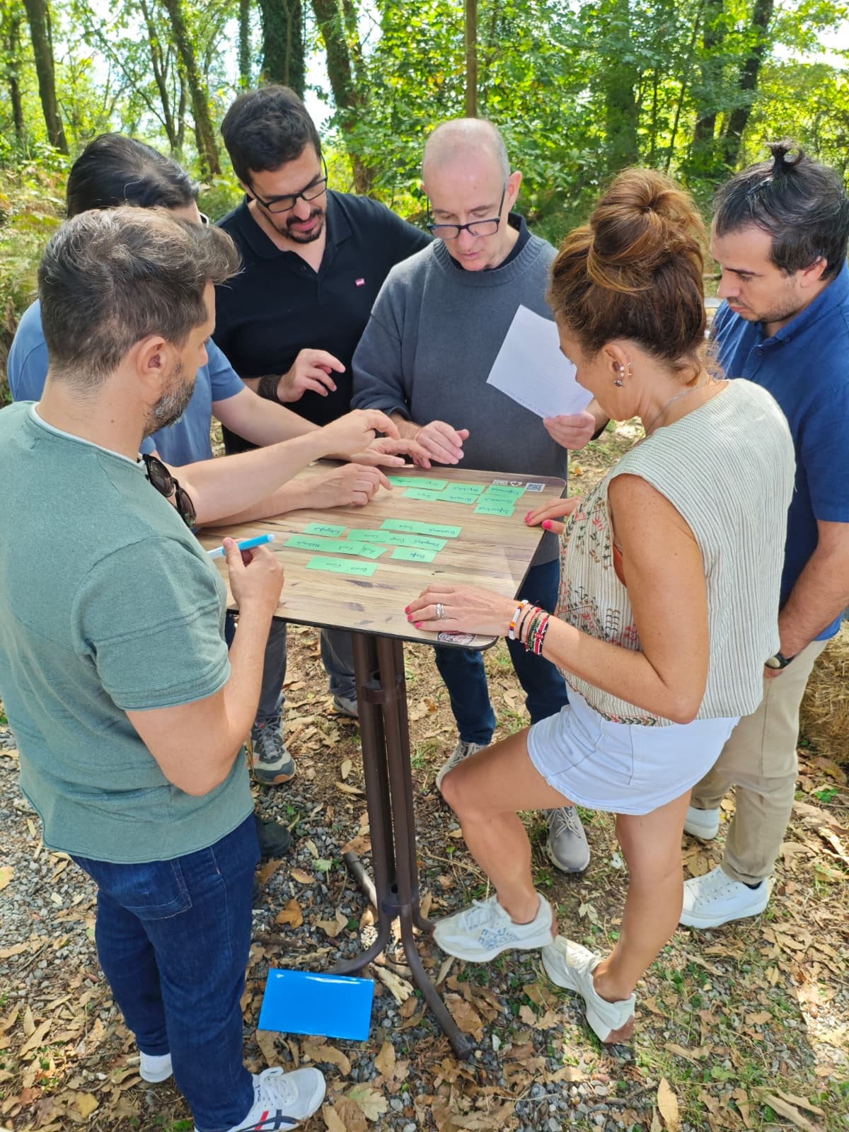 Colaboración por equipos de ISTRAM con tarjetas verdes